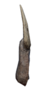 앙상한 손가락